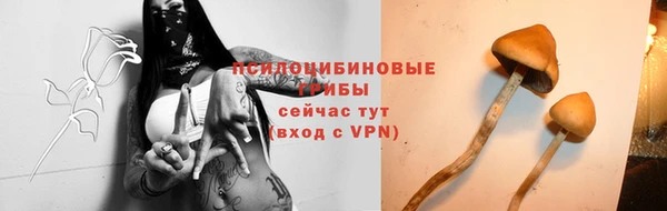 скорость mdpv Заводоуковск