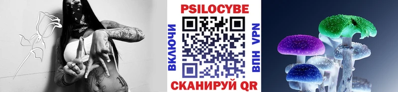 купить   Касли  Псилоцибиновые грибы Psilocybe 